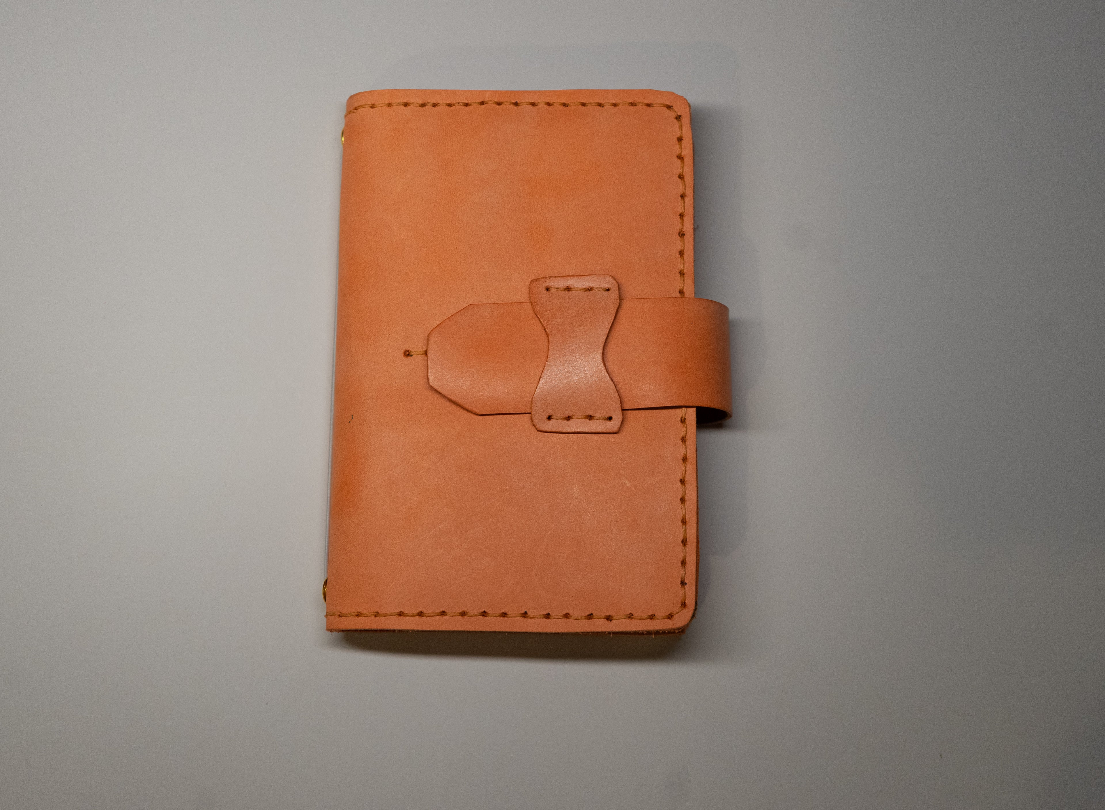 The pocket companion (Coral)