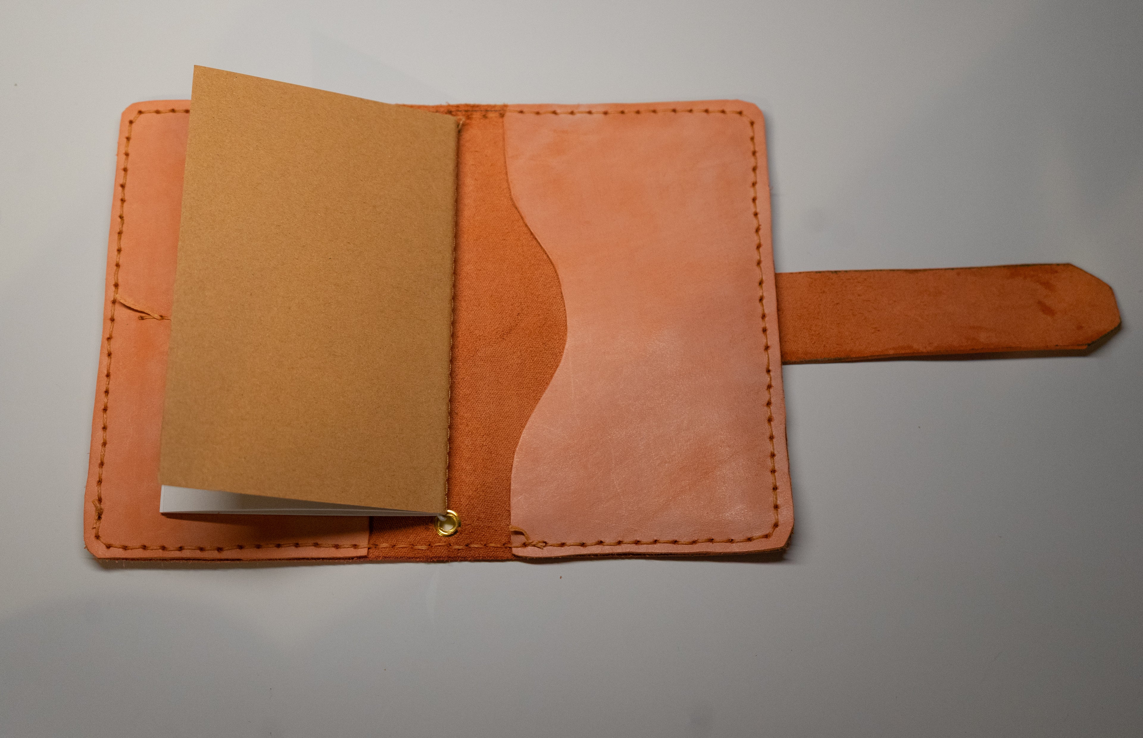 The pocket companion (Coral)